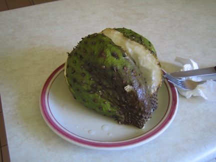 Apple cut open, Tonga.