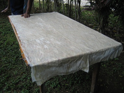 Tapa cloth.