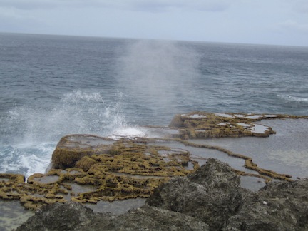 Blowhole, Tonga.