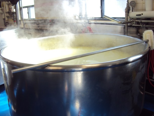 International Cheese (64)