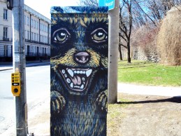 Racoon mural on box.
