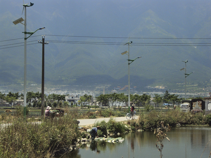 Chinese solar panels.