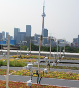 UoT_Daniel's_Architecture_Green_Roof_300px