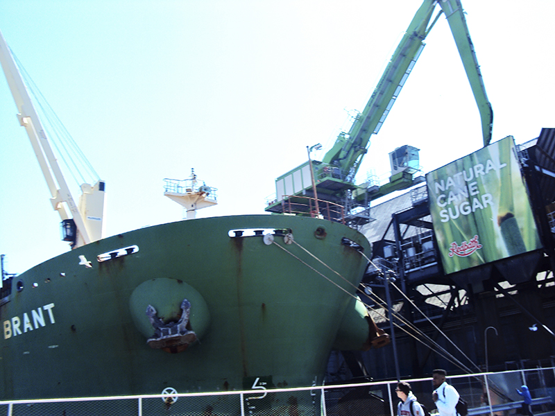 Freighter unloading raw sugar.