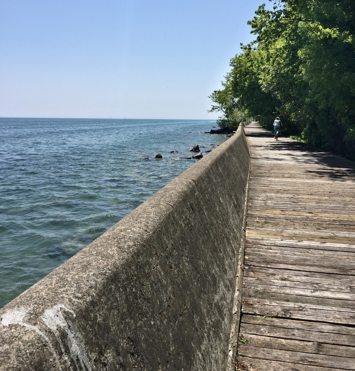 Boardwalk and bicyclist on Toronto Island.