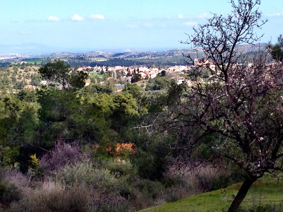 Cyprus landscape.