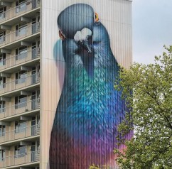 Pigeon mural.