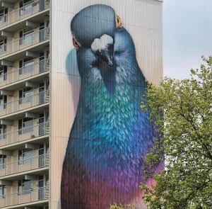 pigeon mural