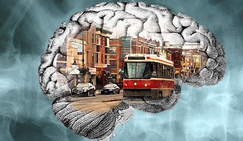 St. Clair polyglot brain.