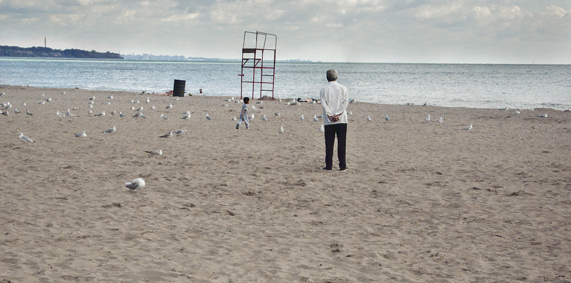 Boy chasing pigeons on the beach.