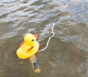 Rubber ducky thermometer.