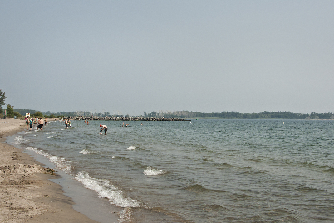 Beach view east at Ward's island.