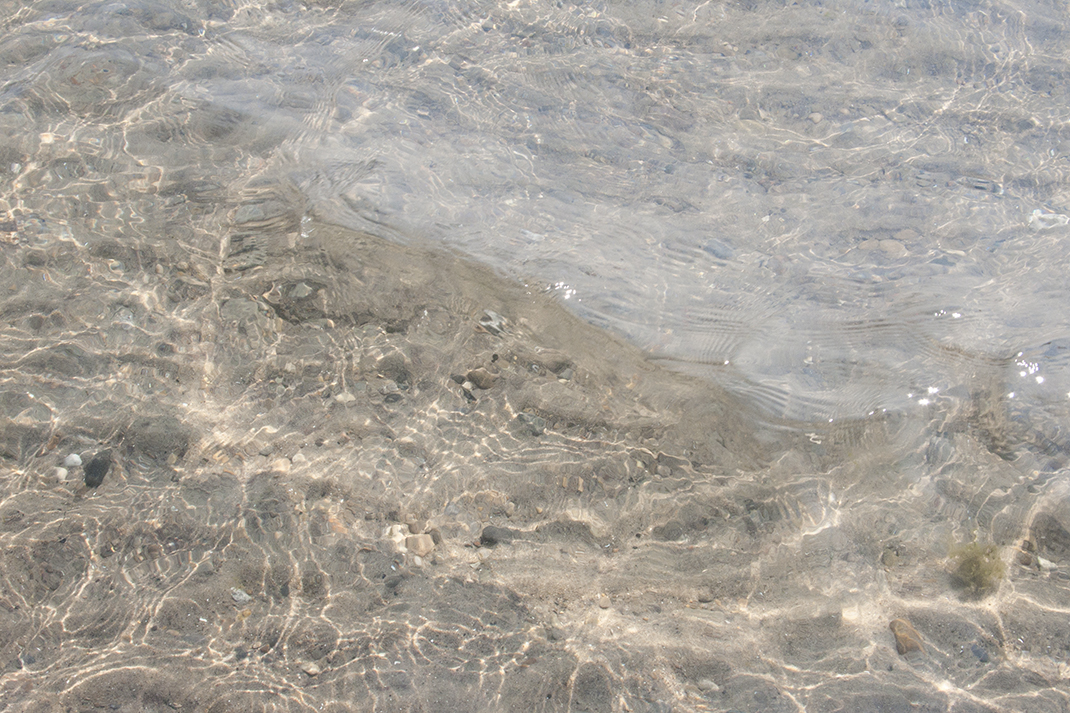 Lake bottom at Ward's.