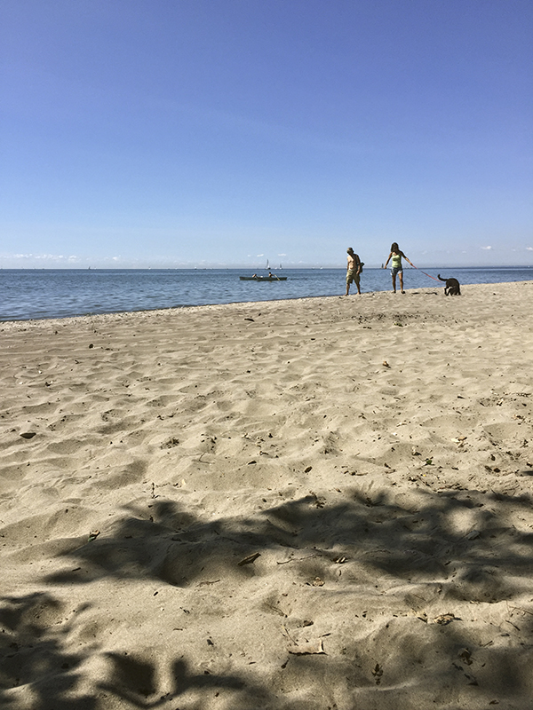 Dog at Gibraltar beach.