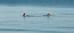 Swimmers in Lake Ontario.