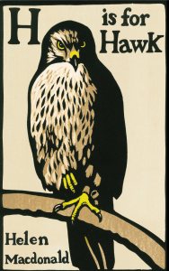 H is for Hawk cover.