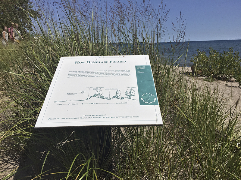 How dunes are formed sign.