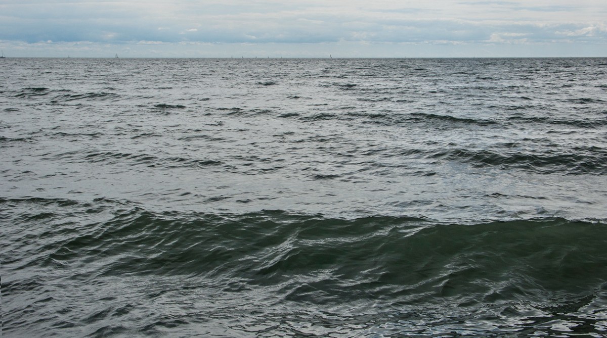 Open water at Kew beach.