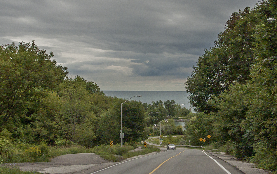 Road to Bluffer's Park.