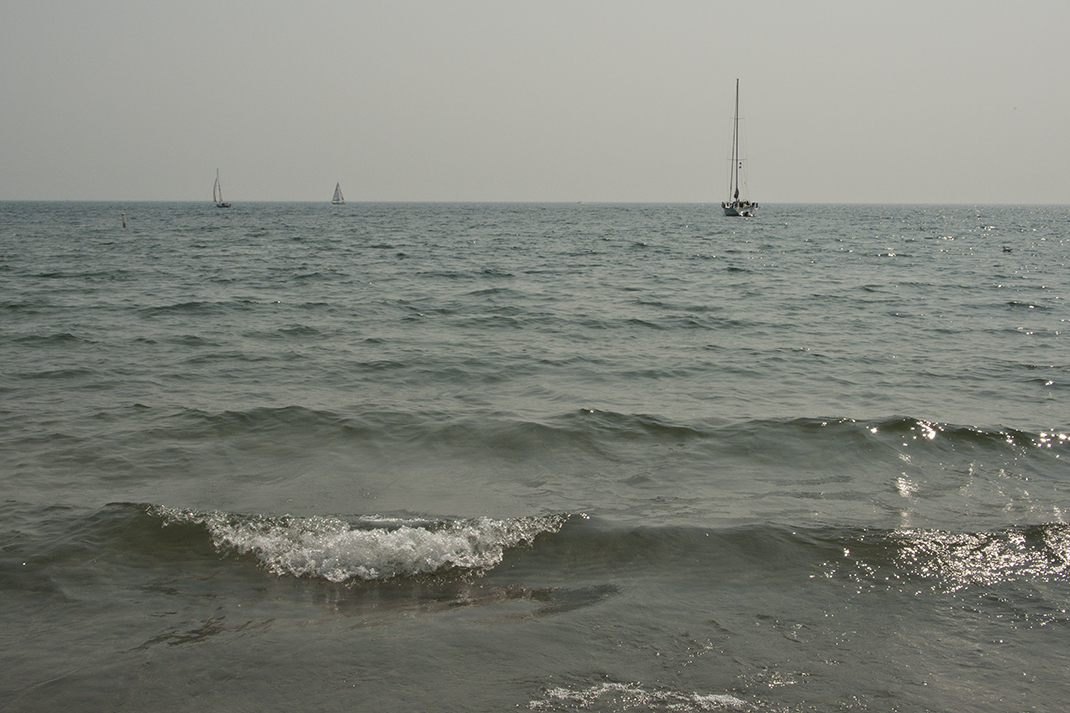 Saialboats at Ward's.