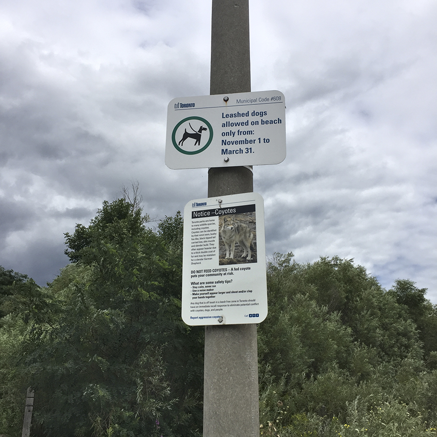 Signs about dogs and coyotes.