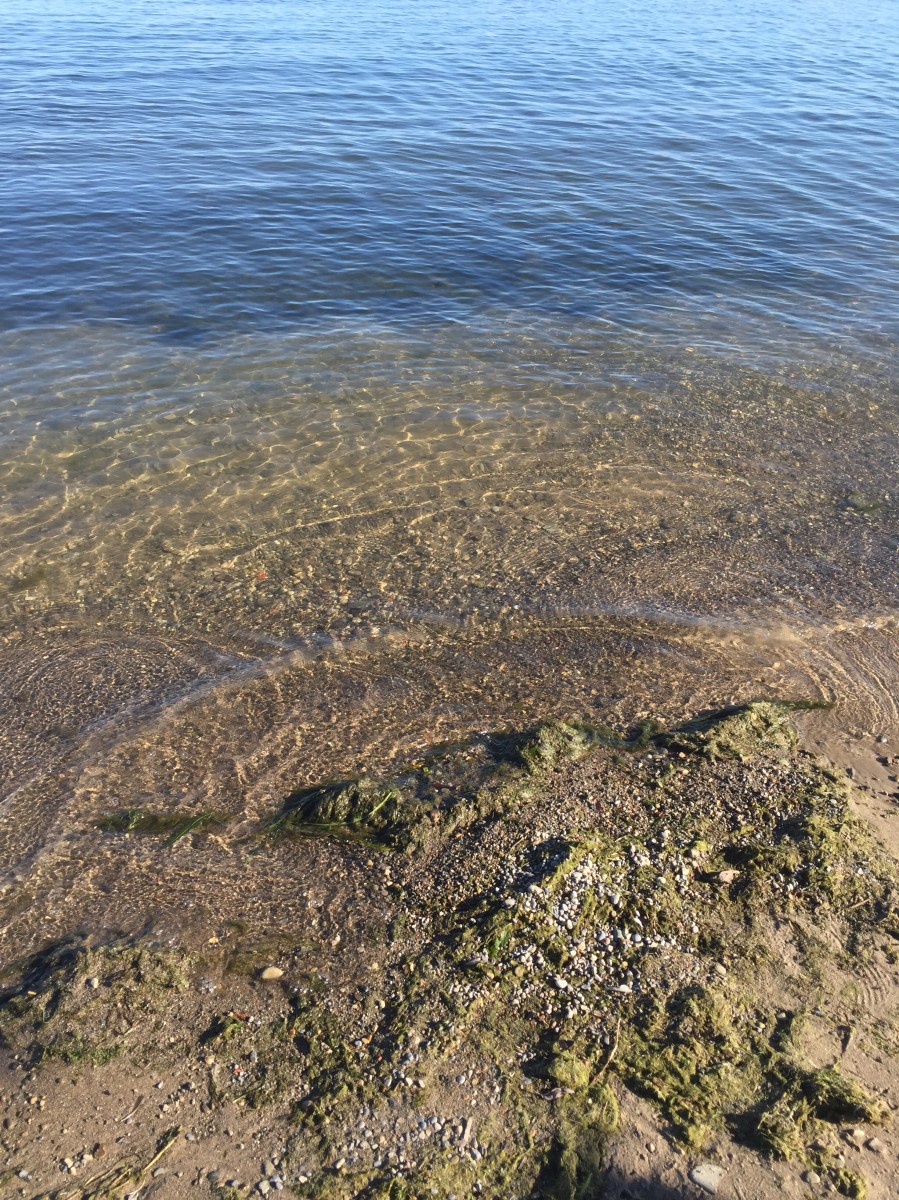 Sunnyside water's edge.