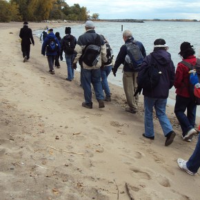 Community in Motion: Walking with&nbsp;Momentum1