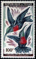 hummingbird stamp