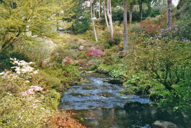Bodnant_Garden,_North_Wales_-_geograph.org.uk_-_881405