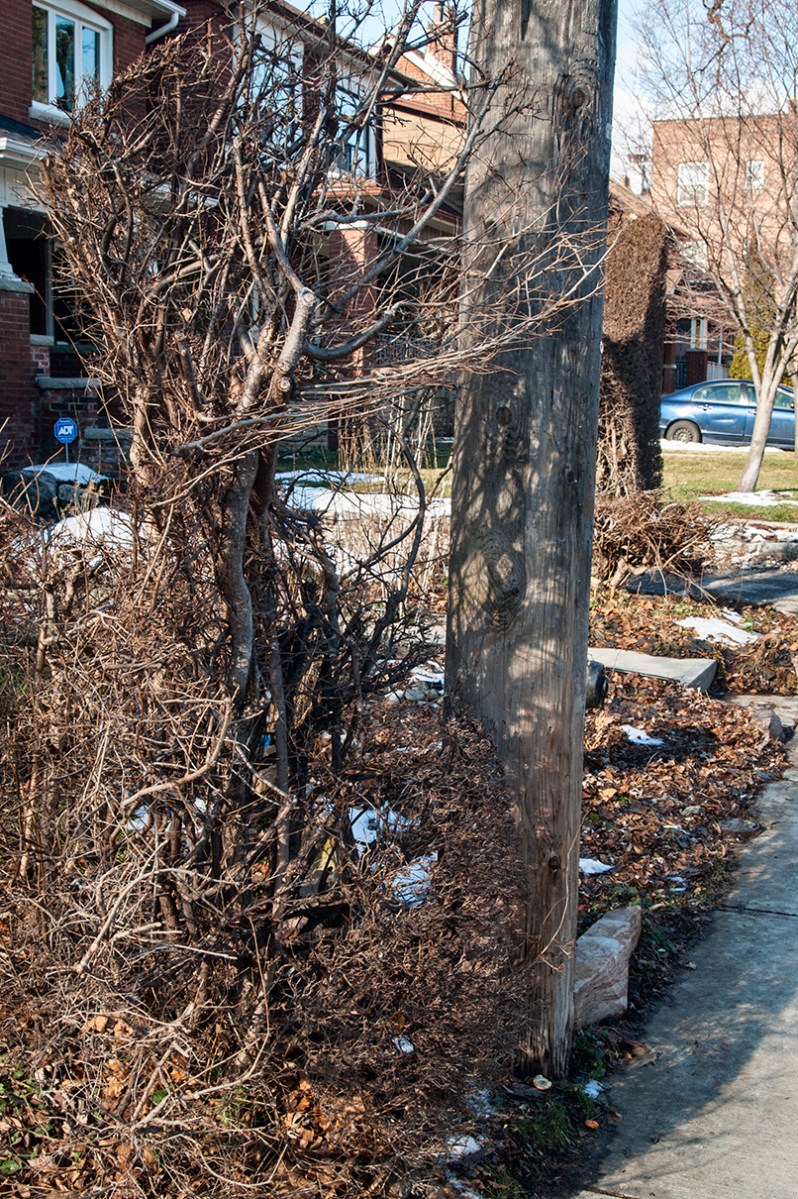 Michelangelo Wave in winter.