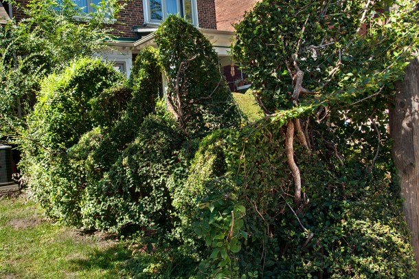 River of History topiary.