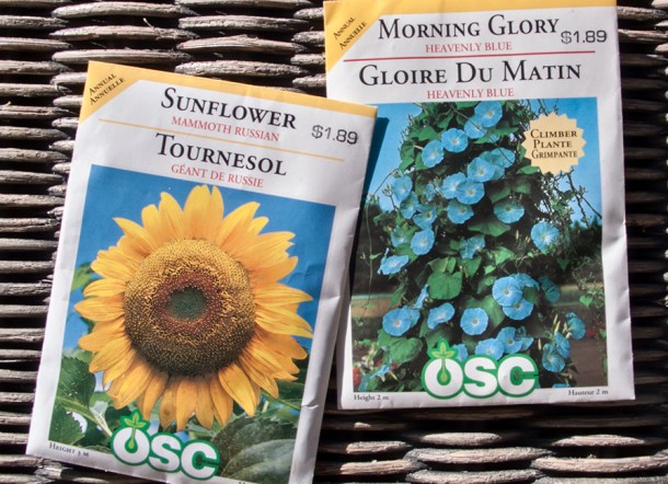 Seed packets.