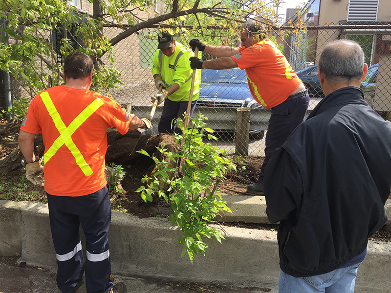 City workers removing carpet.