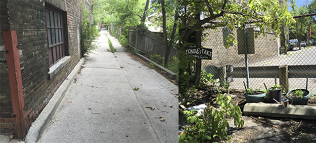 Bilton Laneway feature.