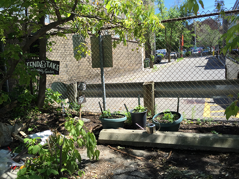 Community garden with signs.