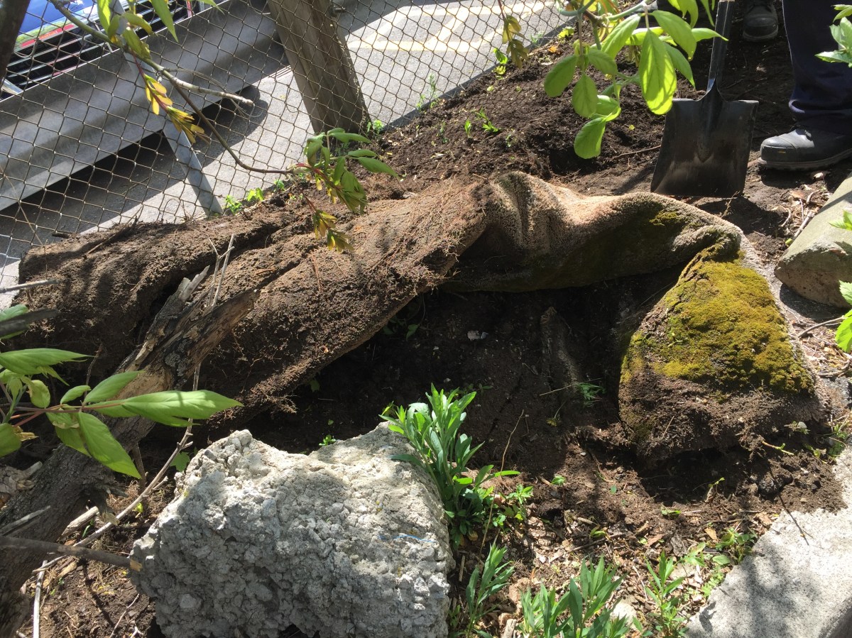 Mossy rolled up carpet.