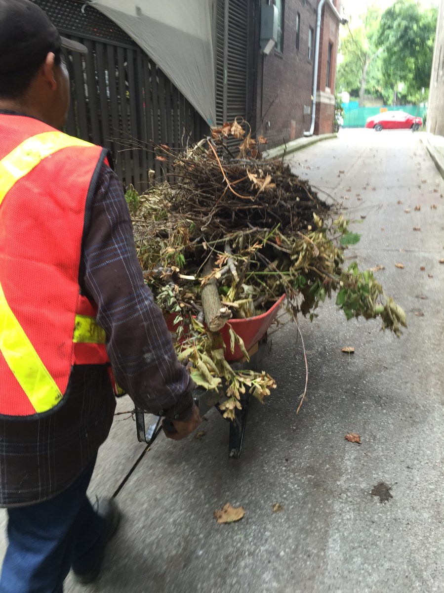 Wheelbarrow clean-up.