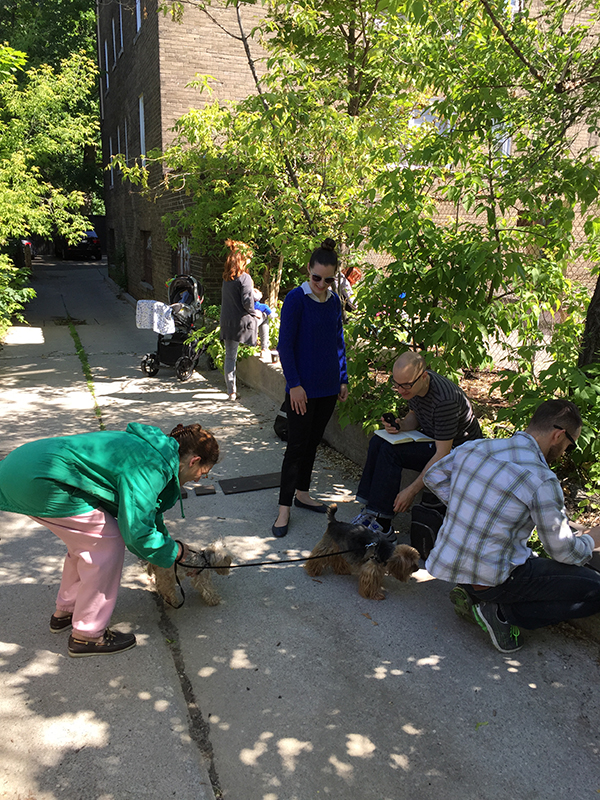 Signpainters meet dogs.