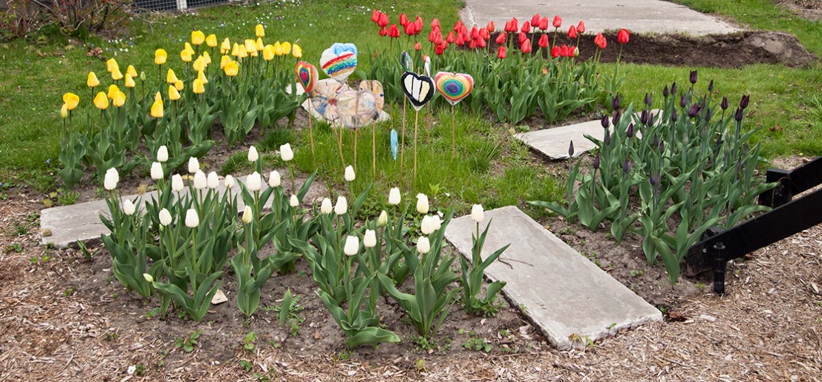 Heart Garden.