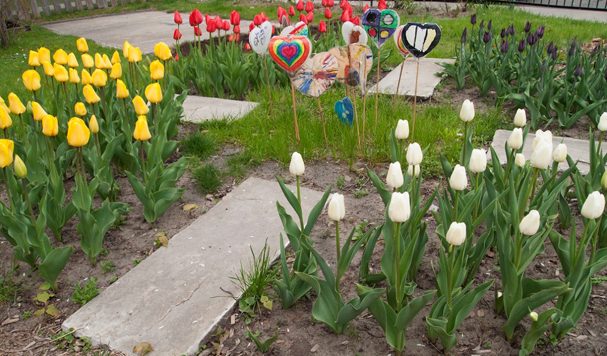 Medecine wheel garden.