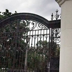 Trinity-Bellwoods: reshaping an urban&nbsp;landscape