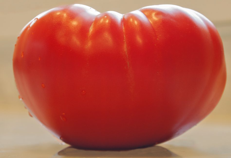 Big red tomato.