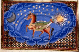 Toronto Piscean horse