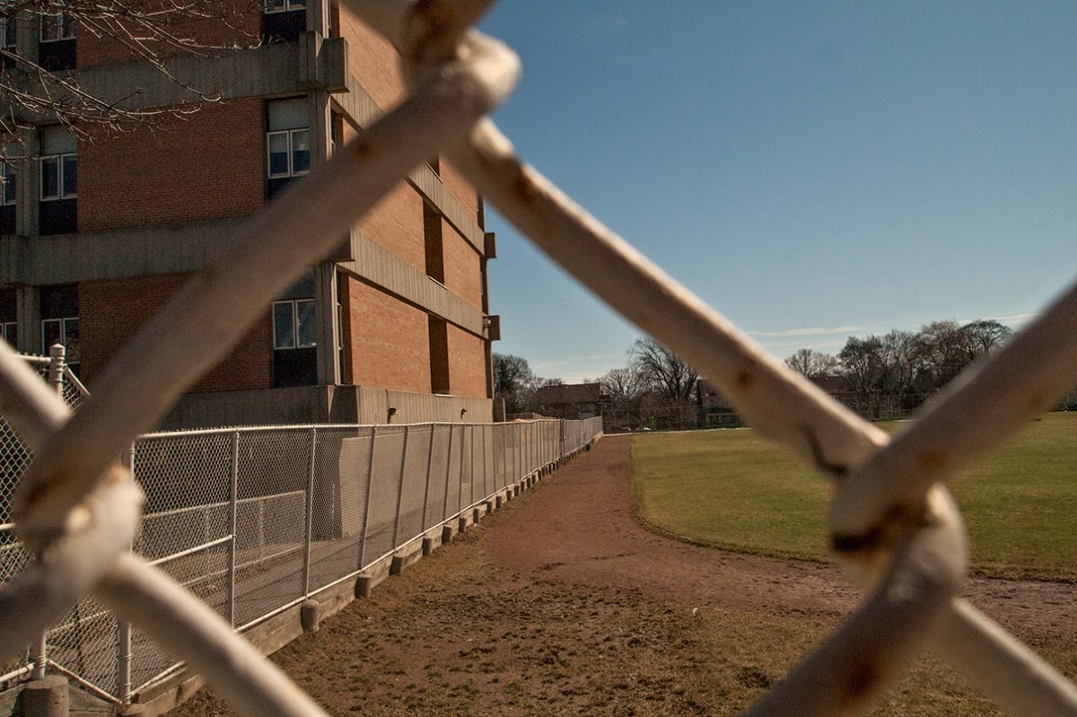 The fence through the fence.