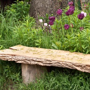 Community bench invites&nbsp;neighbours