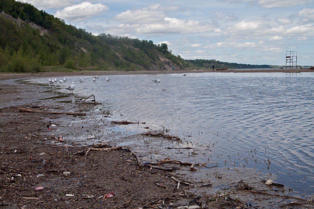 Bluffer's beach flooded.