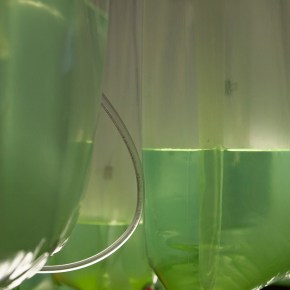 Tantalizing Possibilities: Expo for Design Innovation &&nbsp;Technology