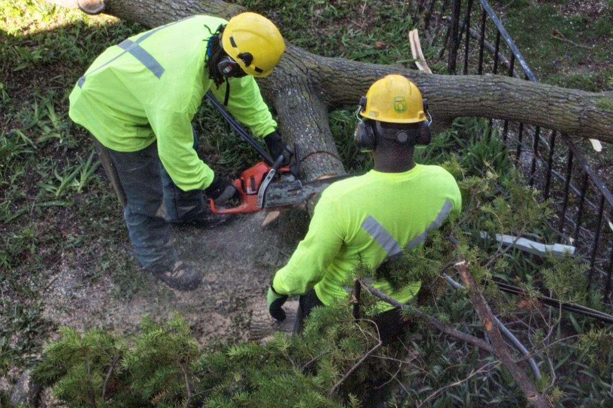 Taut wire beneath chainsaw.