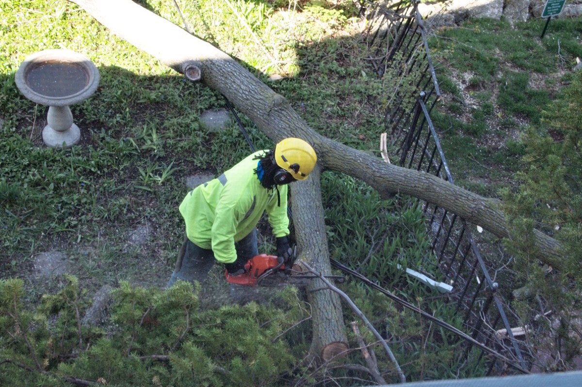Cutting limb with chainsaw near wire.