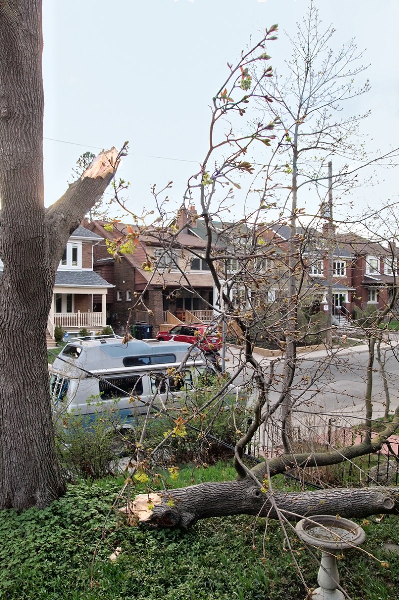 Broken tree and downed limb.